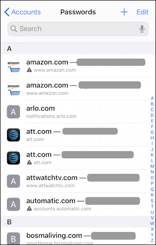 iphone ios 13 settings > passwords & accounts > list