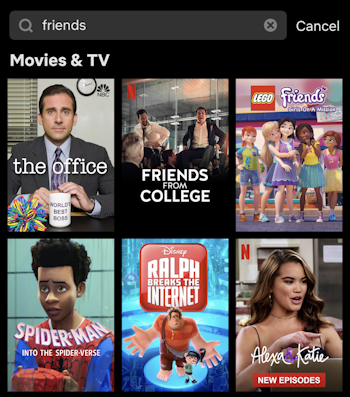 netflix usa search for friends