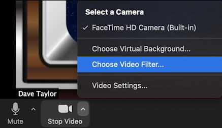 zoom video menu: choose video filter