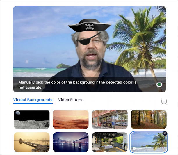 zoom video filters - pirate hat eye patch palm trees