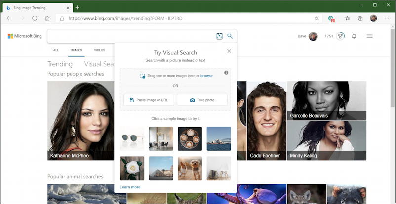 bing image search - upload image file