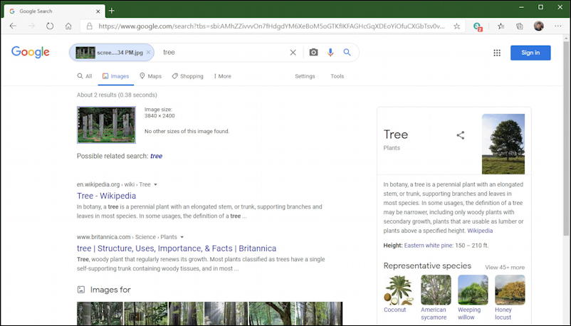 google image search results: trees