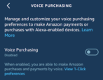 amazon alexa echo - child proof block skill purchases explicit lyrics