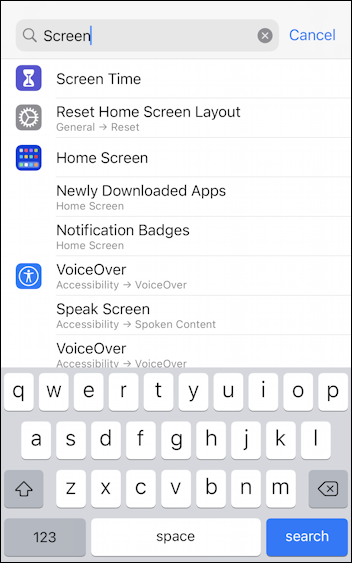 ios14 iphone ipad - settings - search for screen