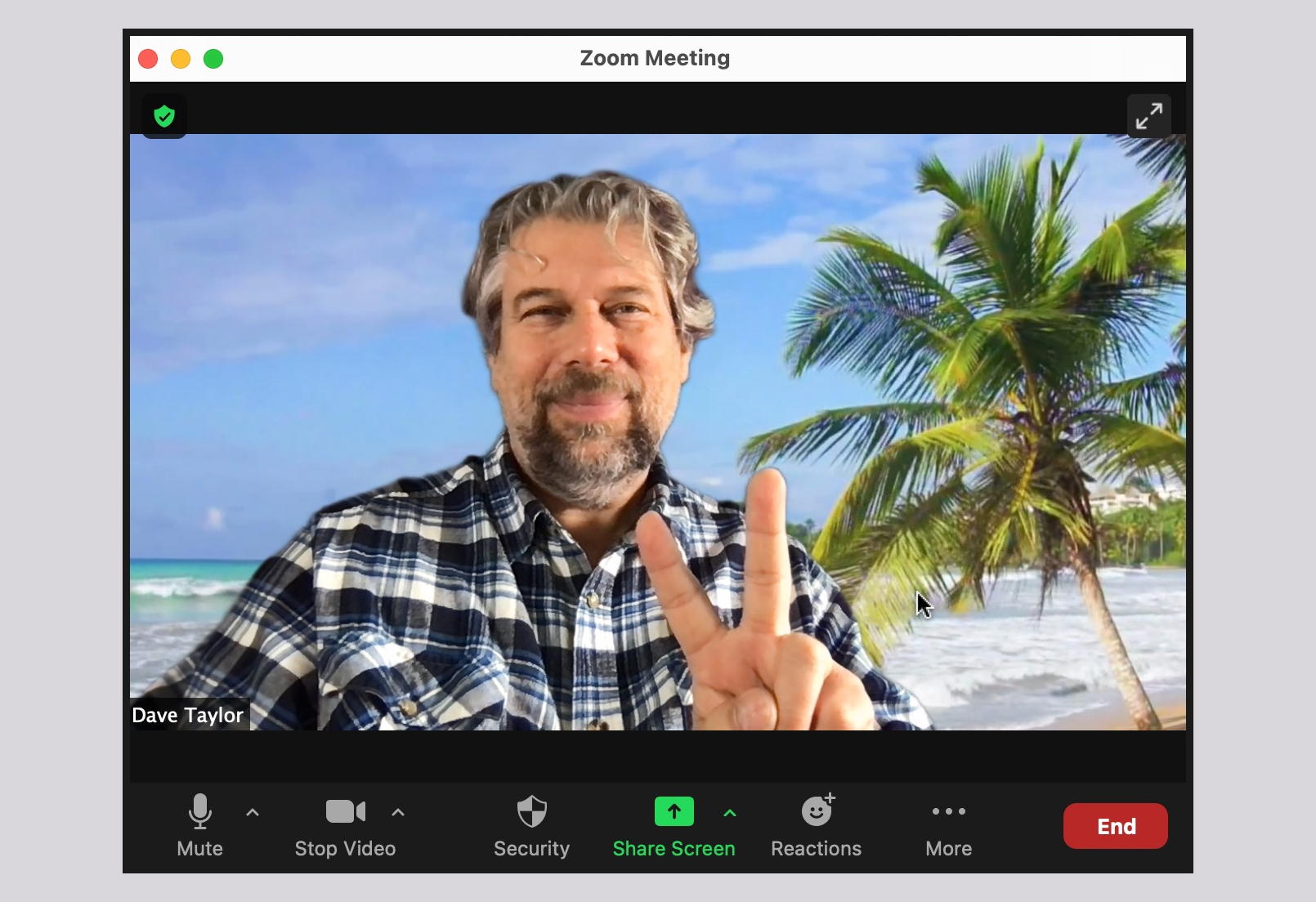 Optimize Your Appearance on Zoom With These Settings Ask Dave Taylor