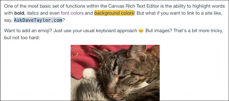 canvas lms rce editor - demo with colors, photo image, cat, etc