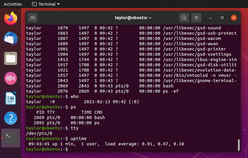 ubuntu linux - terminal with commands typed in
