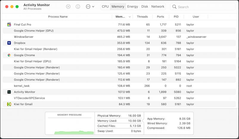 macos activity monitor - ram memory