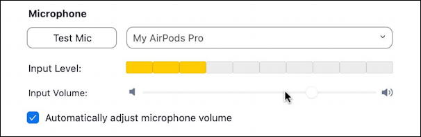 zoom - choose mic speaker camera video - settings - audio level indicator