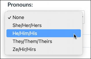 canvas lms - add preferred pronouns - list of possible preferred pronouns lgbtq+