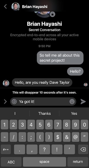 facebook messenger - timed self-destruct private secret message