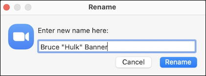 zoom mac - main window - participants - rename - bruce hulk banner