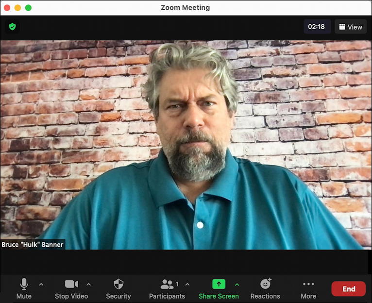 zoom mac - main window - participants - rename - bruce hulk banner