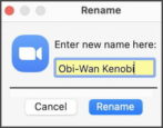 zoom meeting rename yourself new name frame name
