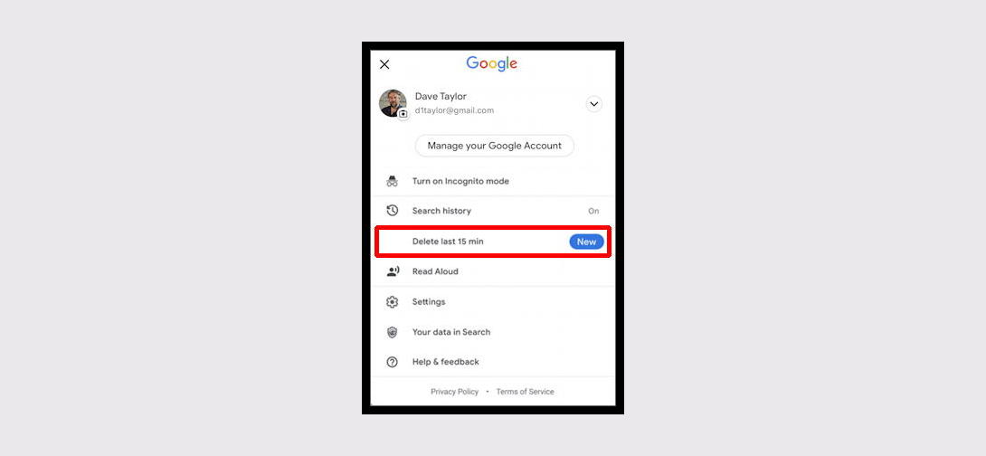 Can I Delete My Most Recent Google Searches on my iPhone? - Ask Dave Taylor