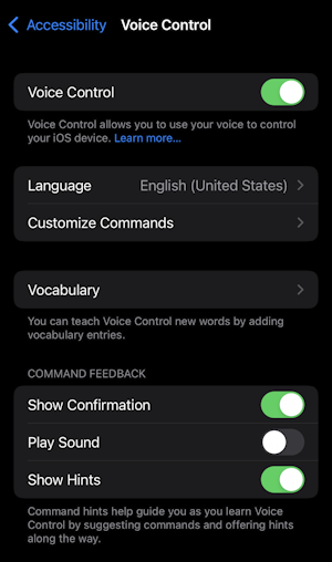 ios15 - enable hey siri - settings - accessibility voice controls