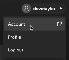 spotify web interface - account menu