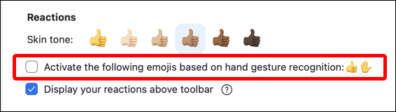 zoom hand gestures enable - settings