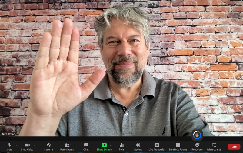 zoom hand gestures reactions - hand raised