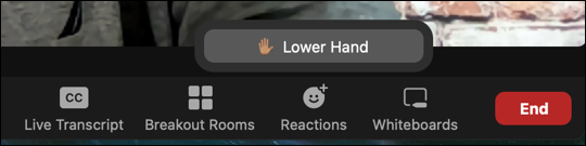 zoom hand gestures reactions - lower hand