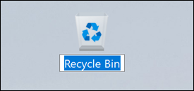 win11 pc - recycle bin empty trash - rename recycle bin icon