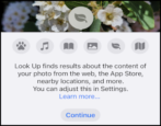 use Look Up on iphone ipad to identify flowers plants in photo - how to