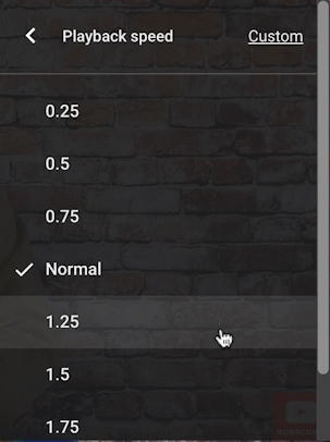 youtube playback controls - playback speed controls