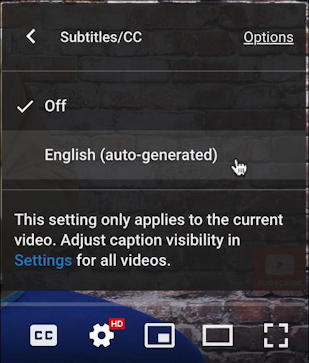 youtube playback controls - closed captions subtitles