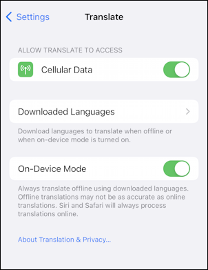 iphone ipad ios translate language - settings > translate