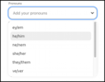 pinterest specify add preferred pronouns to user profile info
