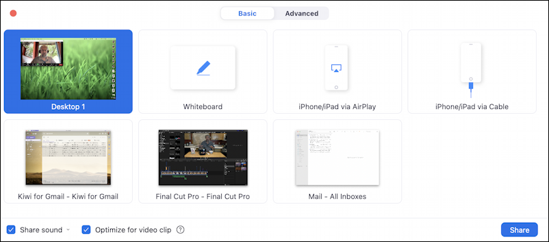 zoom participant screen sharing - basic screen sharing window options