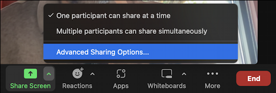 zoom participant screen sharing - screen share options