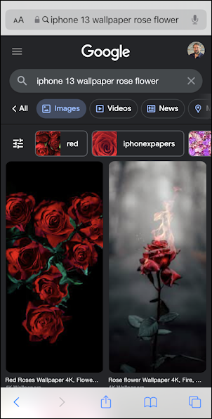 iphone rose wallpaper - search google roses flowers