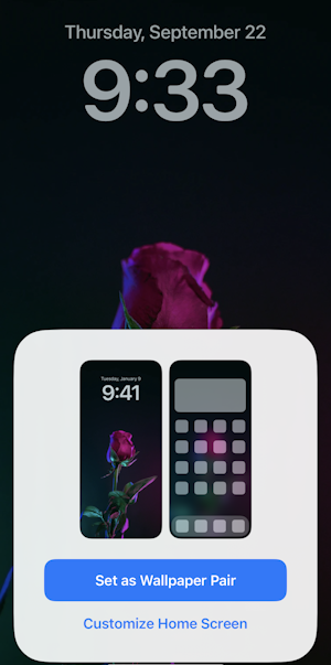 iphone rose wallpaper - settings - save as wallpaper pair set?