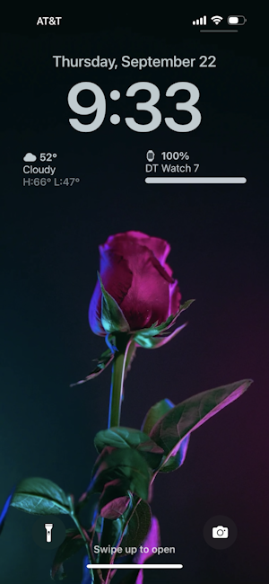 iphone rose wallpaper - settings - all set