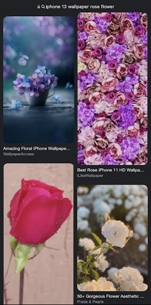 iphone rose wallpaper - flower wallpaper 4k hd
