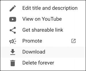 youtube creator studio video overview - detail options menu 