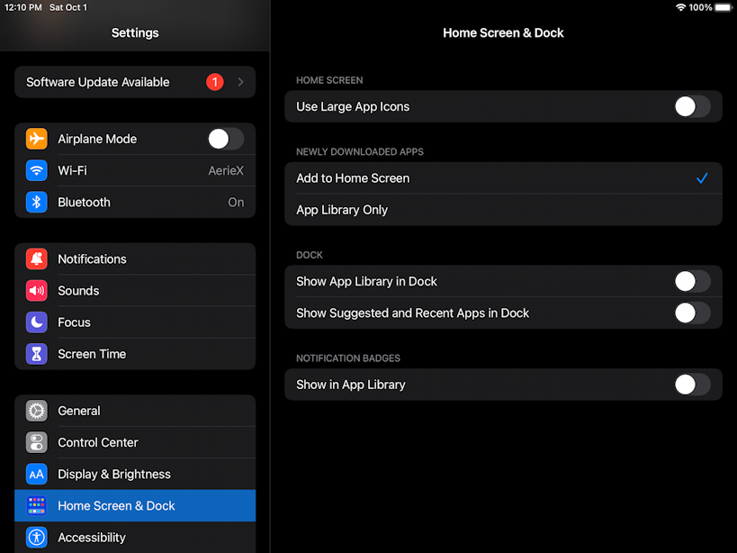 apple ipad mini ipados - settings home screen dock