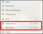 microsoft edge capture selection portion full page - how to