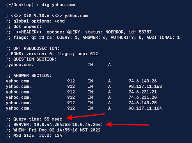 mac dns server change lookup tcp/ip - dig command