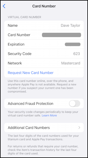 apple card fraud protection security - credit card number, expy, etc