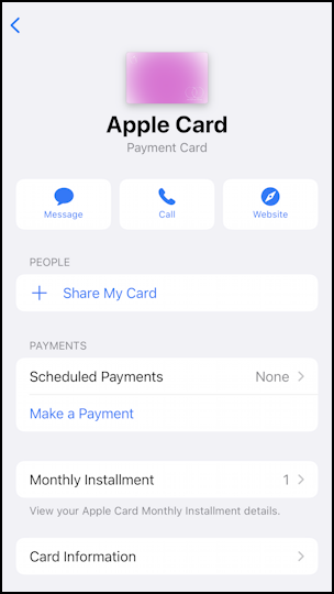 apple card fraud protection security - additional card information
