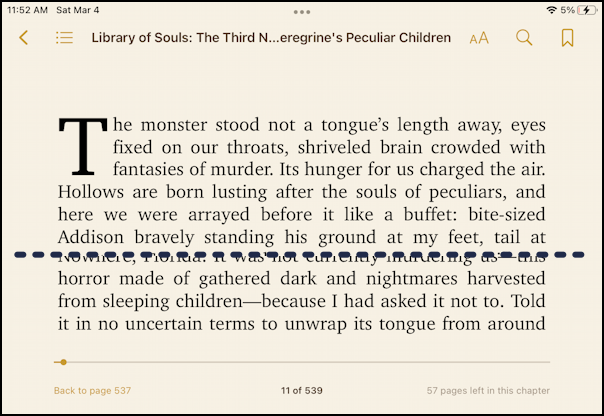 ios ipados books app apple ebook reader - with controls displayed