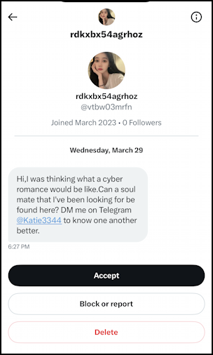 twitter hidden dm messages - scammer love interest