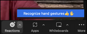 zoom client - reactions raise hand - recognize hand gestures option