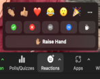 zoom meeting how to digitally raise your hand reactions emoji fun