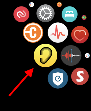 apple watch noise check monitor - noise icon