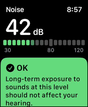 apple watch noise check monitor - 42db ok
