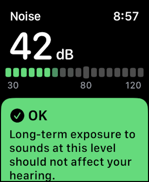 apple watch noise check monitor - 42db ok