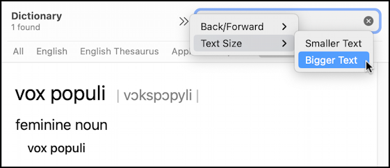 mac macos 13 - dictionary app - font size shortcut